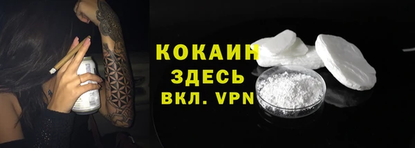 стаф Медногорск