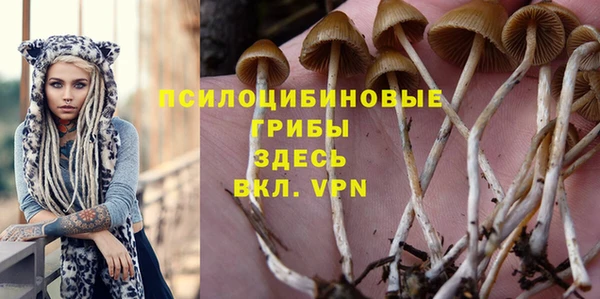 spice Алзамай